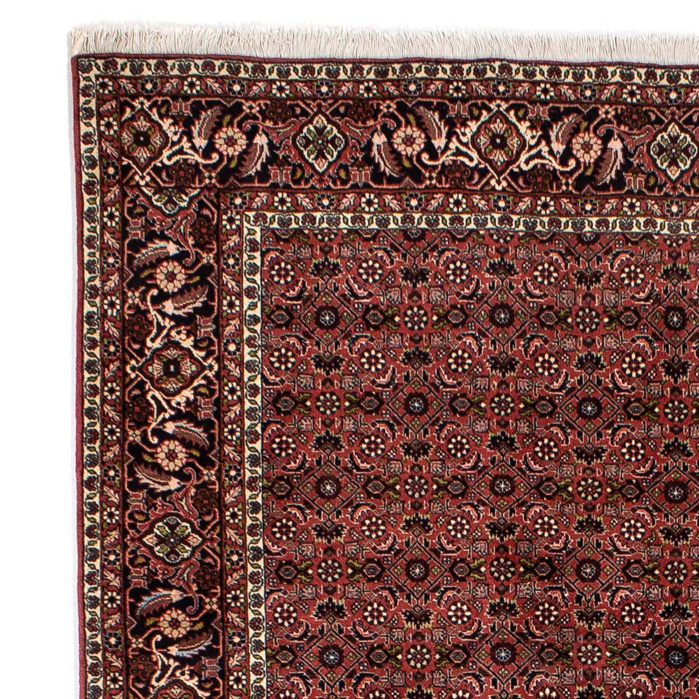 Bidjar Rug 295x196cm - Persian Rugs