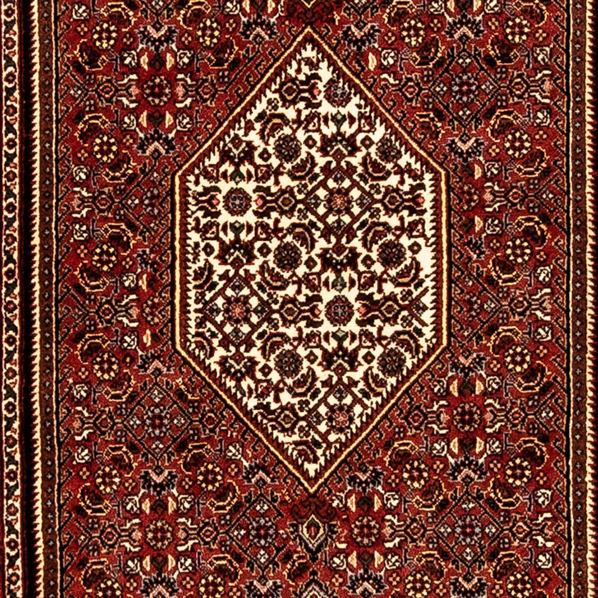 Runner Perser Rug - Bidjar - 221 x 73 cm - multicolored