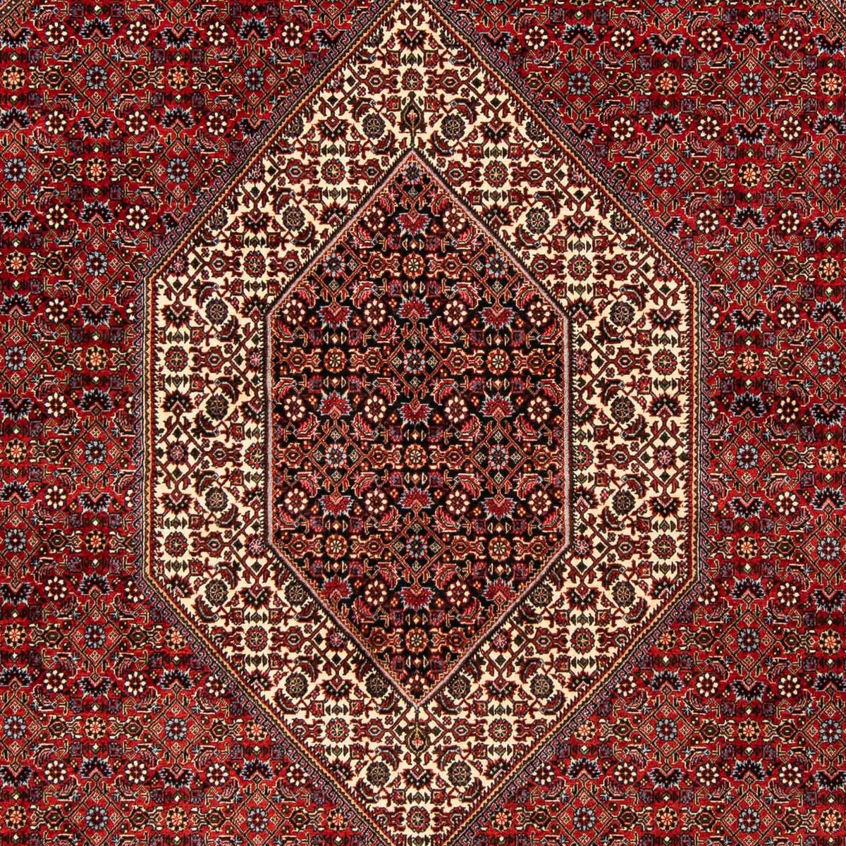 Perser Rug - Bidjar - 244 x 200 cm - dark red