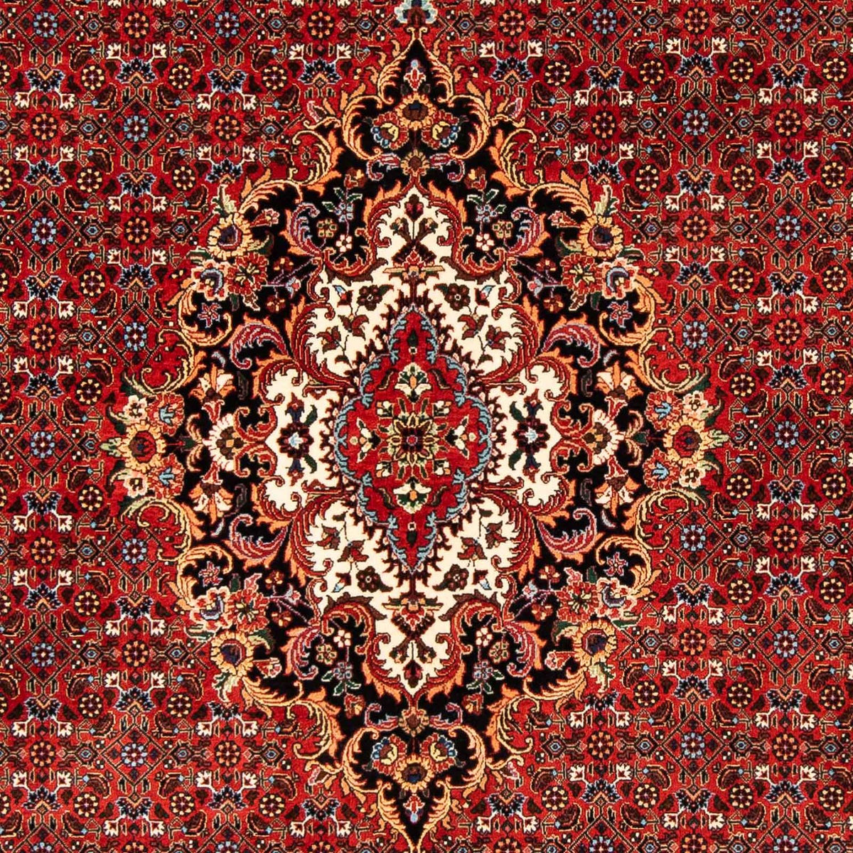 Perser Rug - Bidjar - 242 x 168 cm - dark red