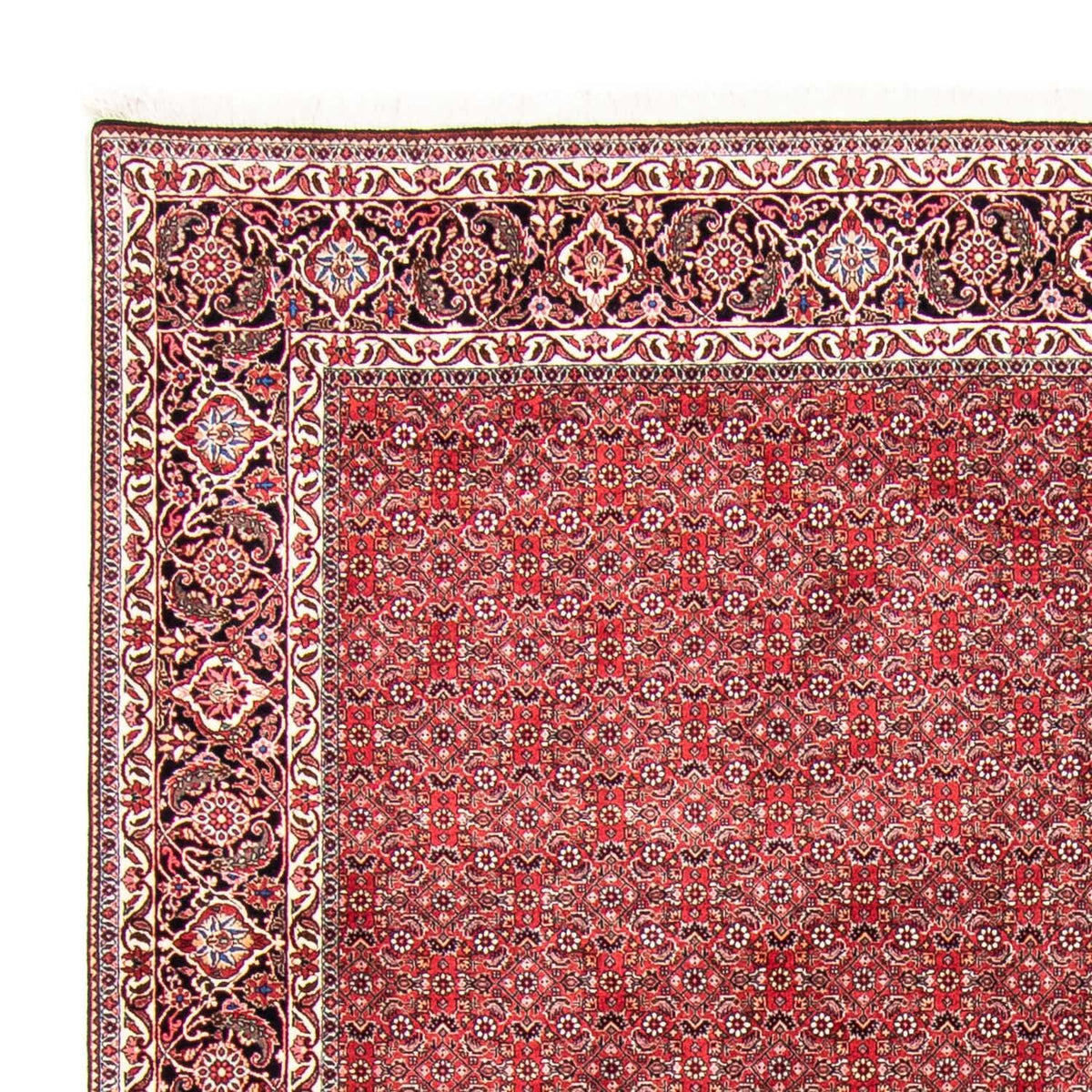 Perser Rug - Bidjar - 340 x 255 cm - light red