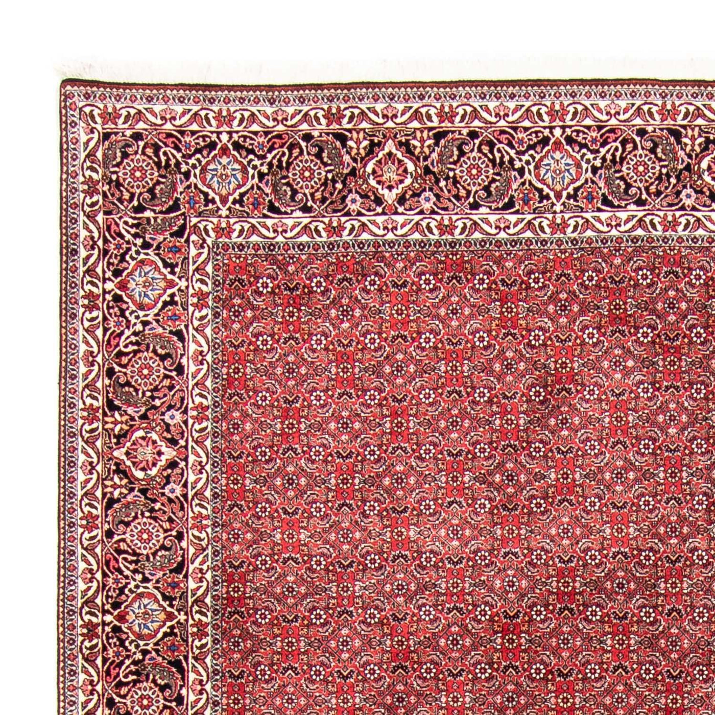 Perser Rug - Bidjar - 340 x 255 cm - light red