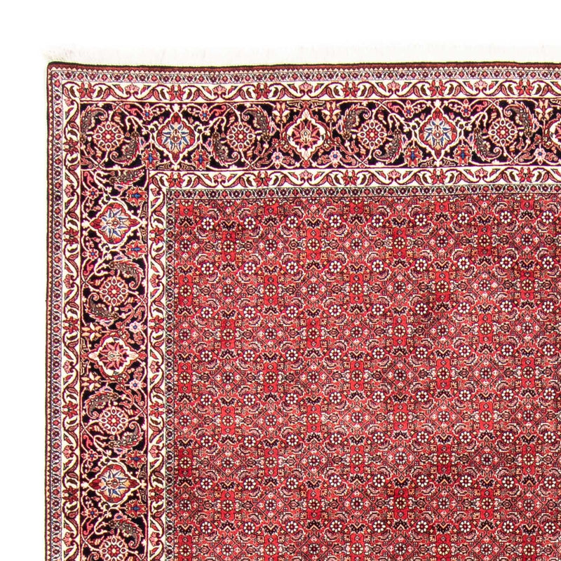 Perser Rug - Bidjar - 340 x 255 cm - light red