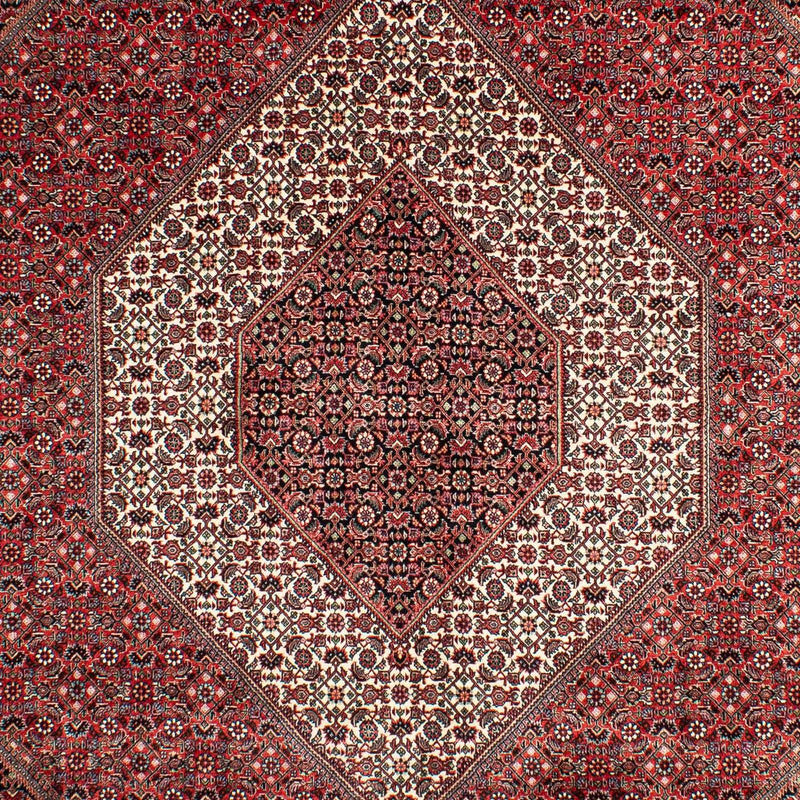 Bidjar Rug 204x302cm - Persian Rugs
