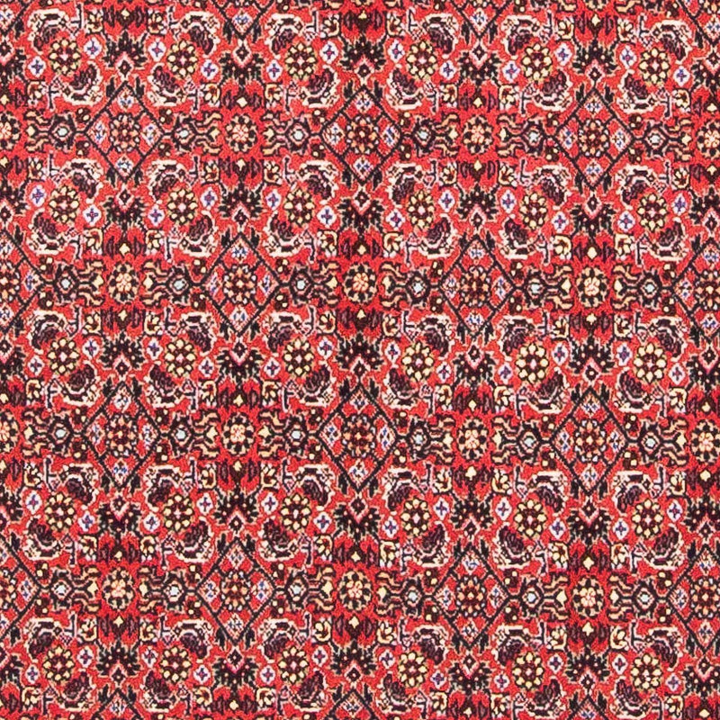 Bidjar Rug 104x98cm - Persian Rugs