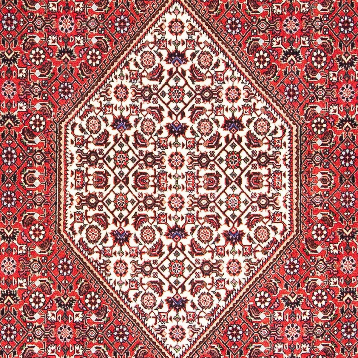 Perser Rug - Bidjar - 175 x 108 cm - red
