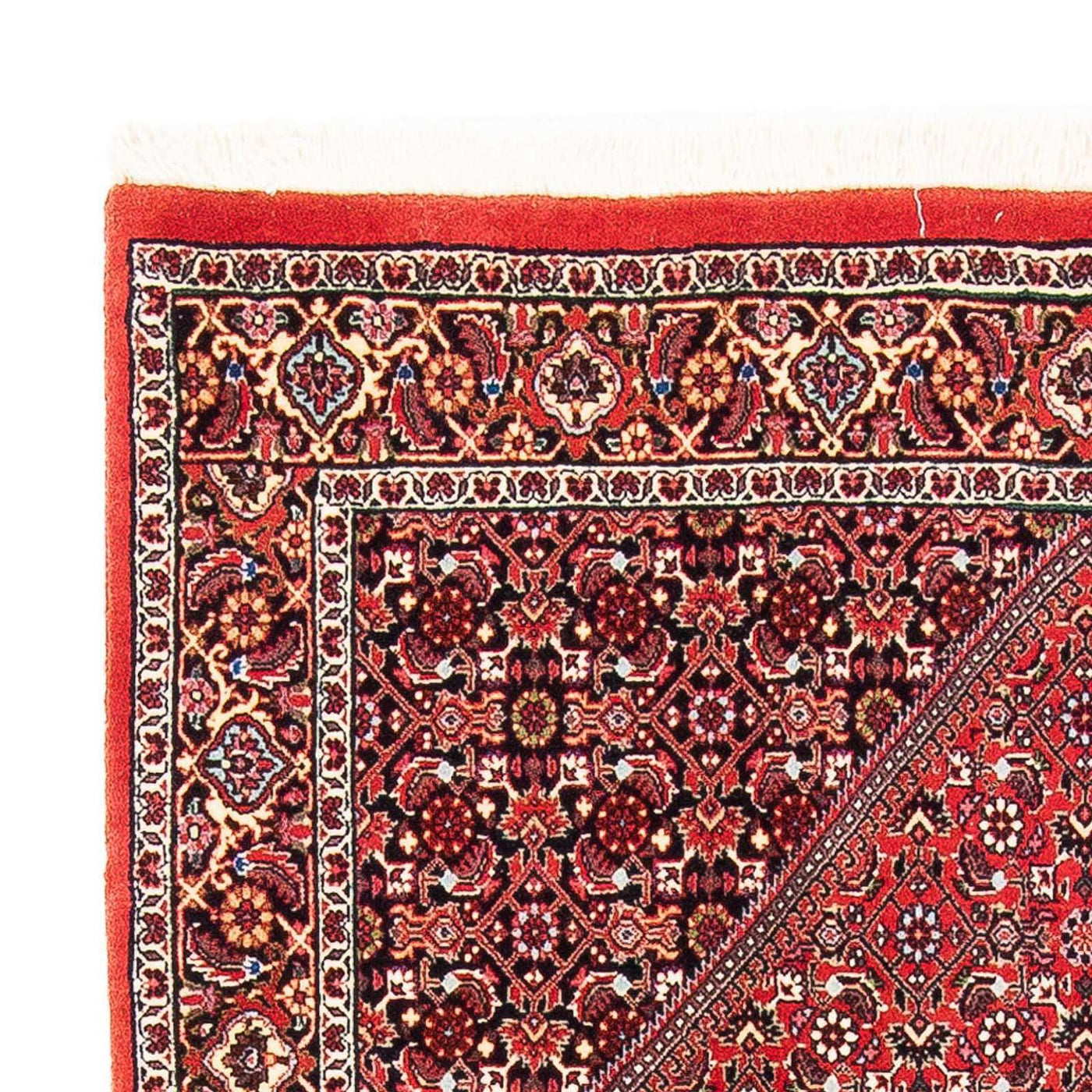 Bidjar Rug 175x108cm - Persian Rugs
