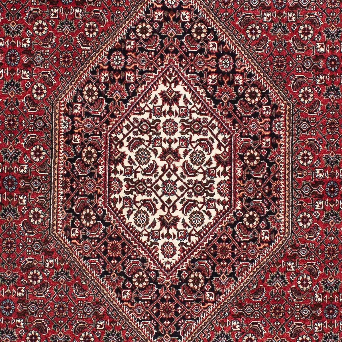 Perser Rug - Bidjar - 173 x 106 cm - red