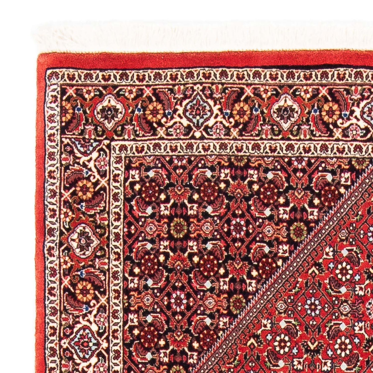Bidjar Rug 110x175cm - Persian Rugs