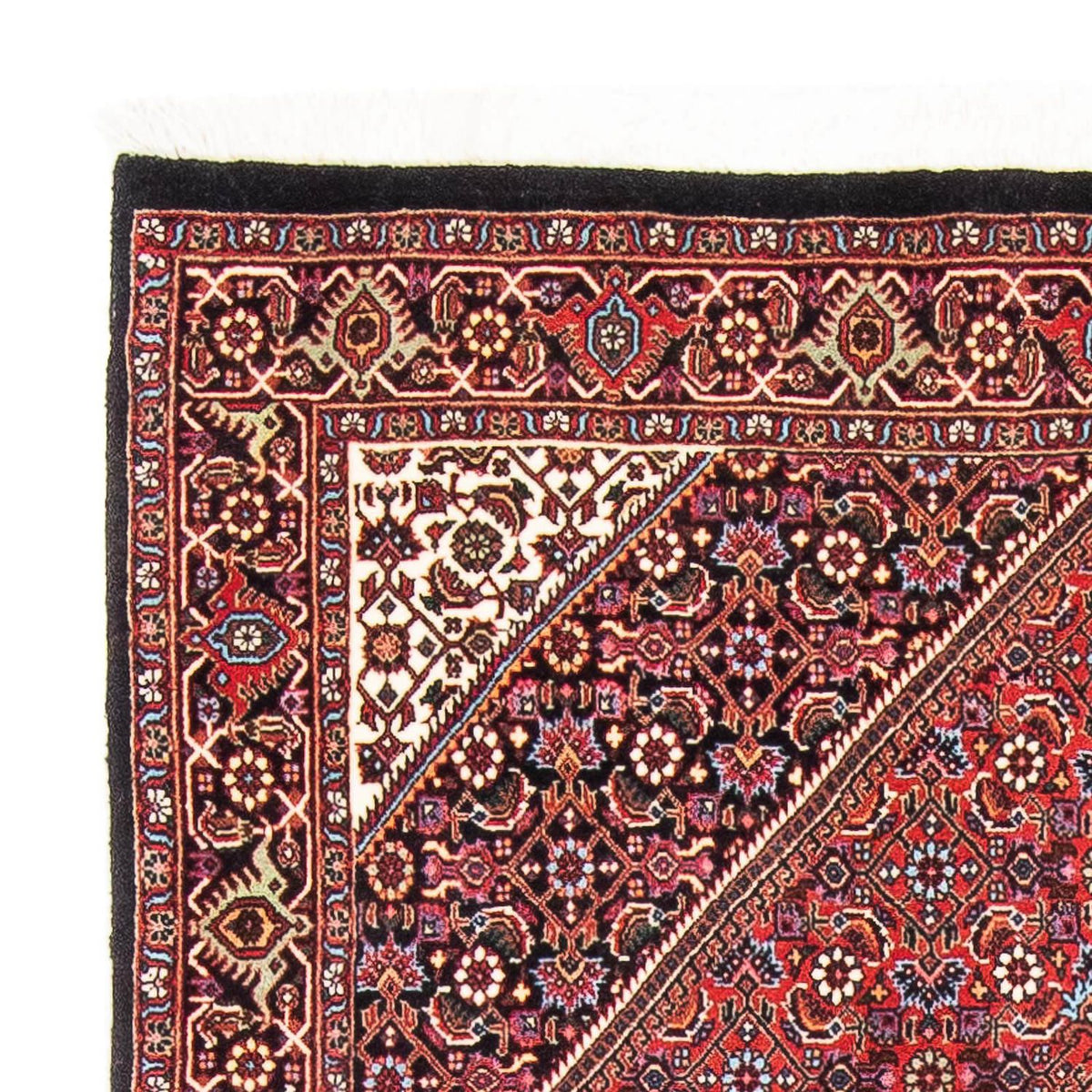 Perser Rug - Bidjar - 175 x 108 cm - red