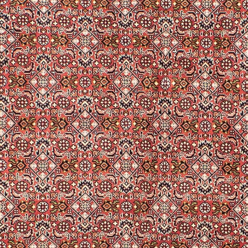 Bidjar Rug 215x136cm - Persian Rugs