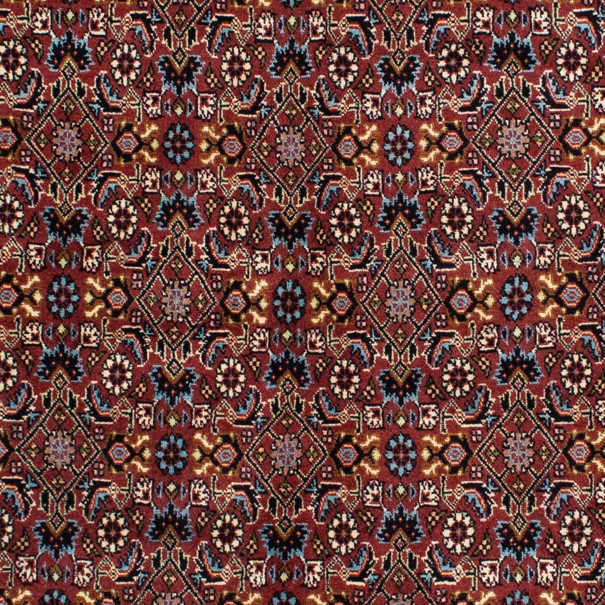 Perser Rug - Bidjar - 210 x 139 cm - red
