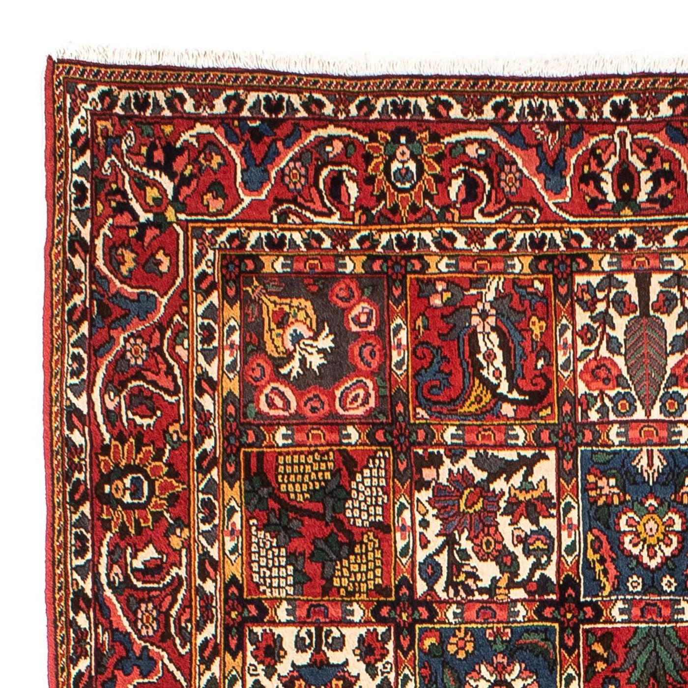 Bakhtiari Rug 246x161cm - Persian Rugs