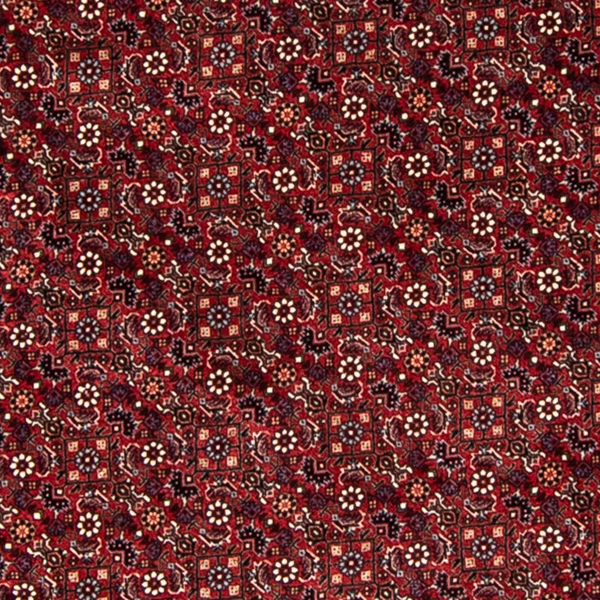 Perser Rug - Bidjar round  - 200 x 200 cm - dark red