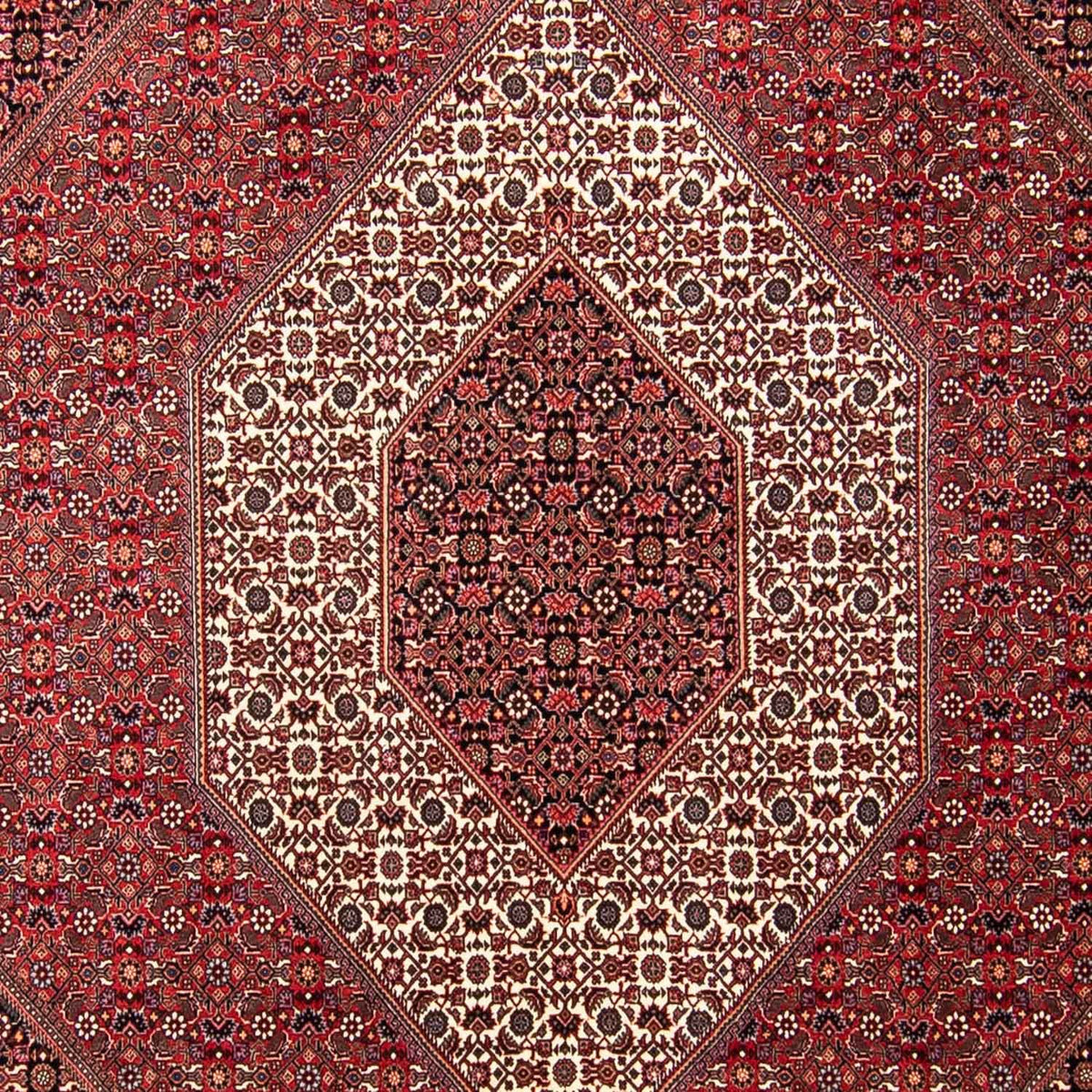 Perser Rug - Bidjar - 297 x 250 cm - dark red