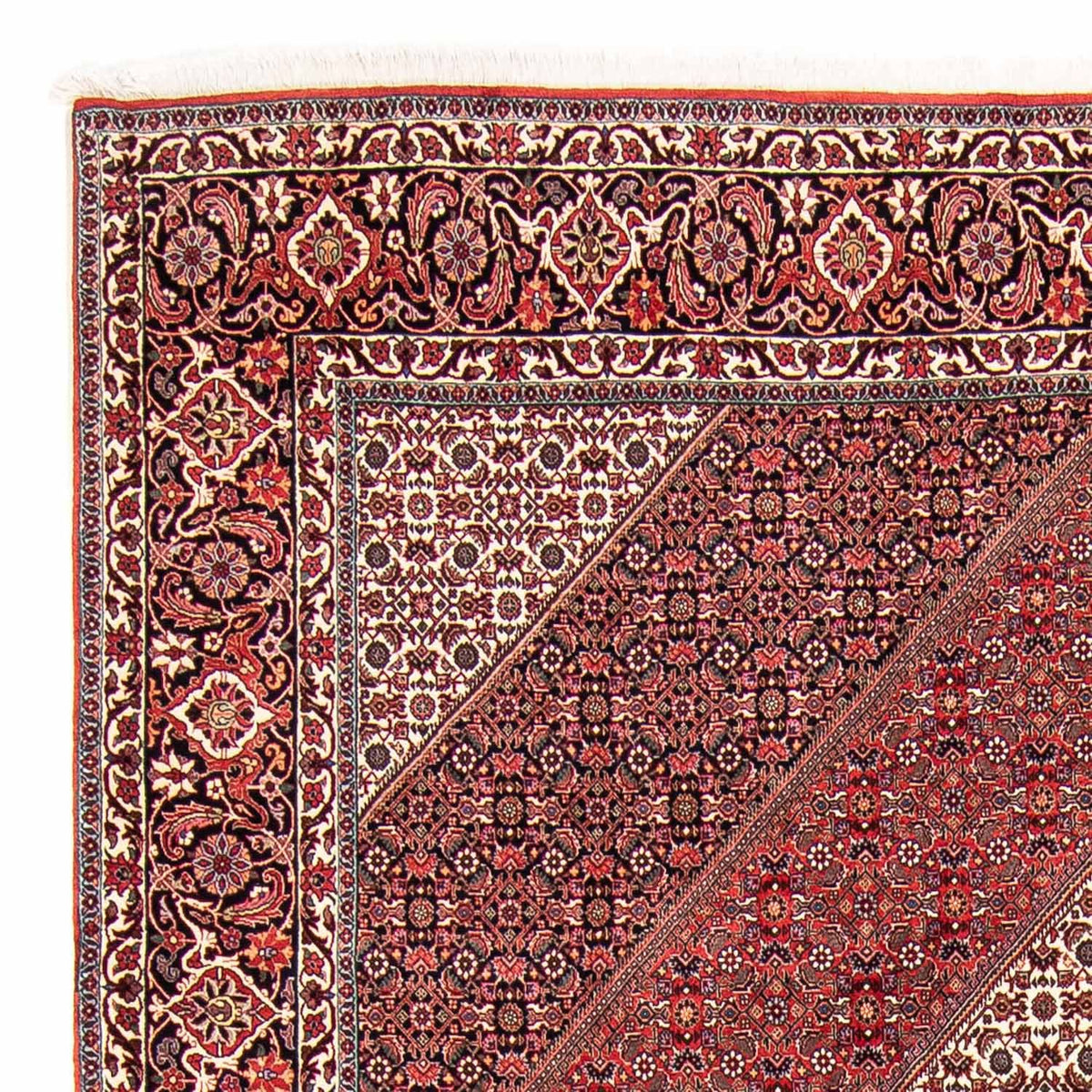 Bidjar Rug 250x297cm - Persian Rugs