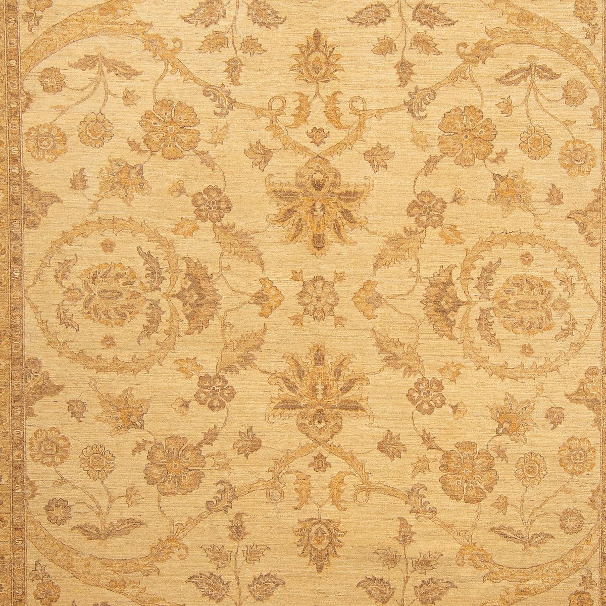 Ziegler Rug - 364 x 280 cm - light brown