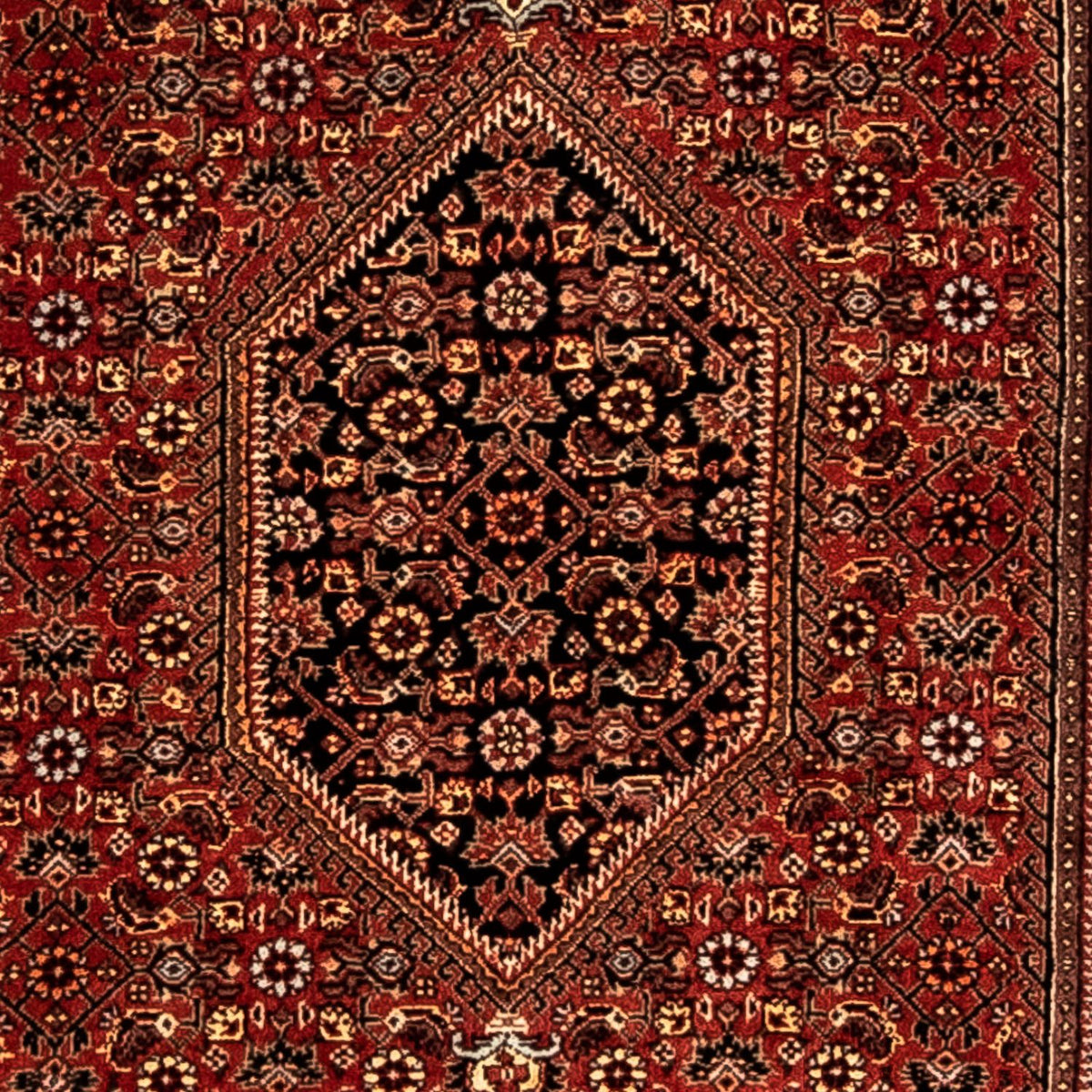 Runner Perser Rug - Bidjar - 277 x 80 cm - dark red