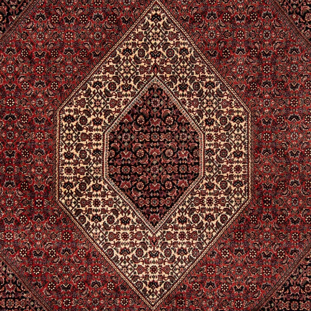 Perser Rug - Bidjar - 259 x 201 cm - dark red
