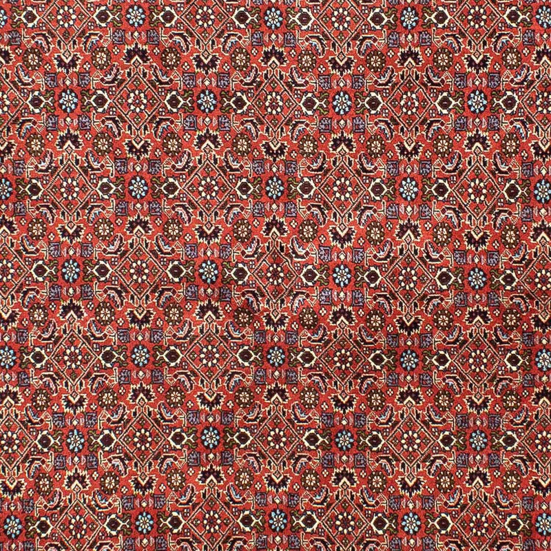 Perser Rug - Bidjar - 288 x 202 cm - light red