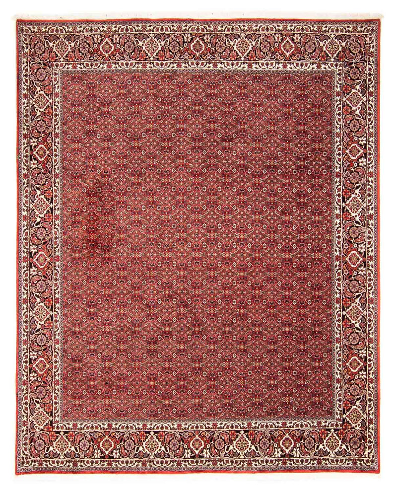 Perser Rug - Bidjar - 290 x 250 cm - red