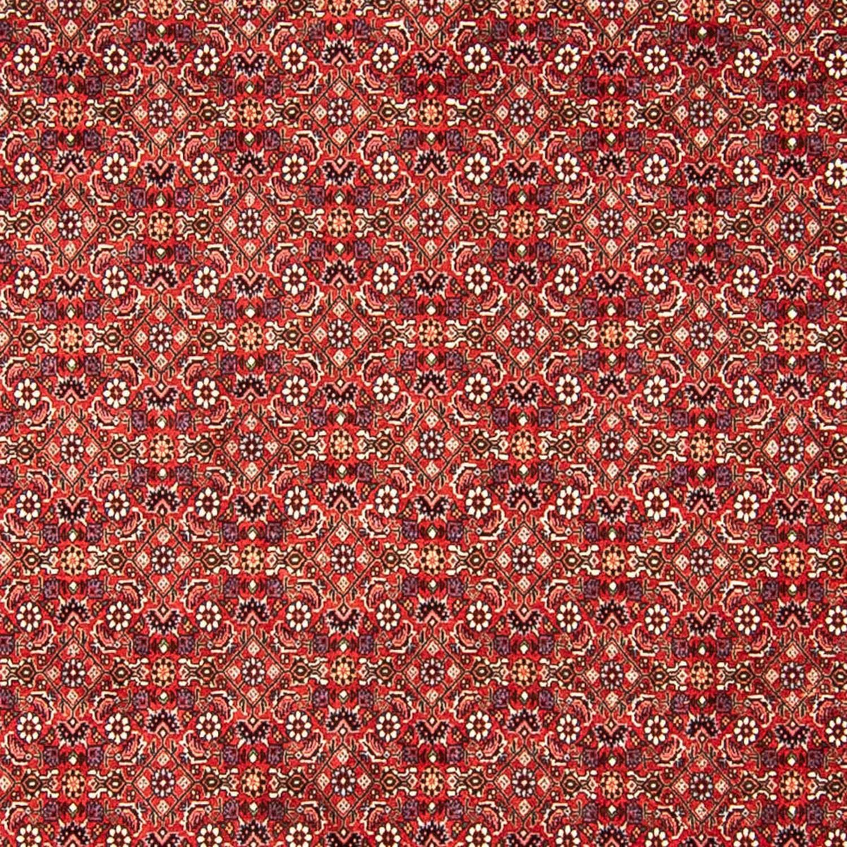 Perser Rug - Bidjar - 290 x 250 cm - red