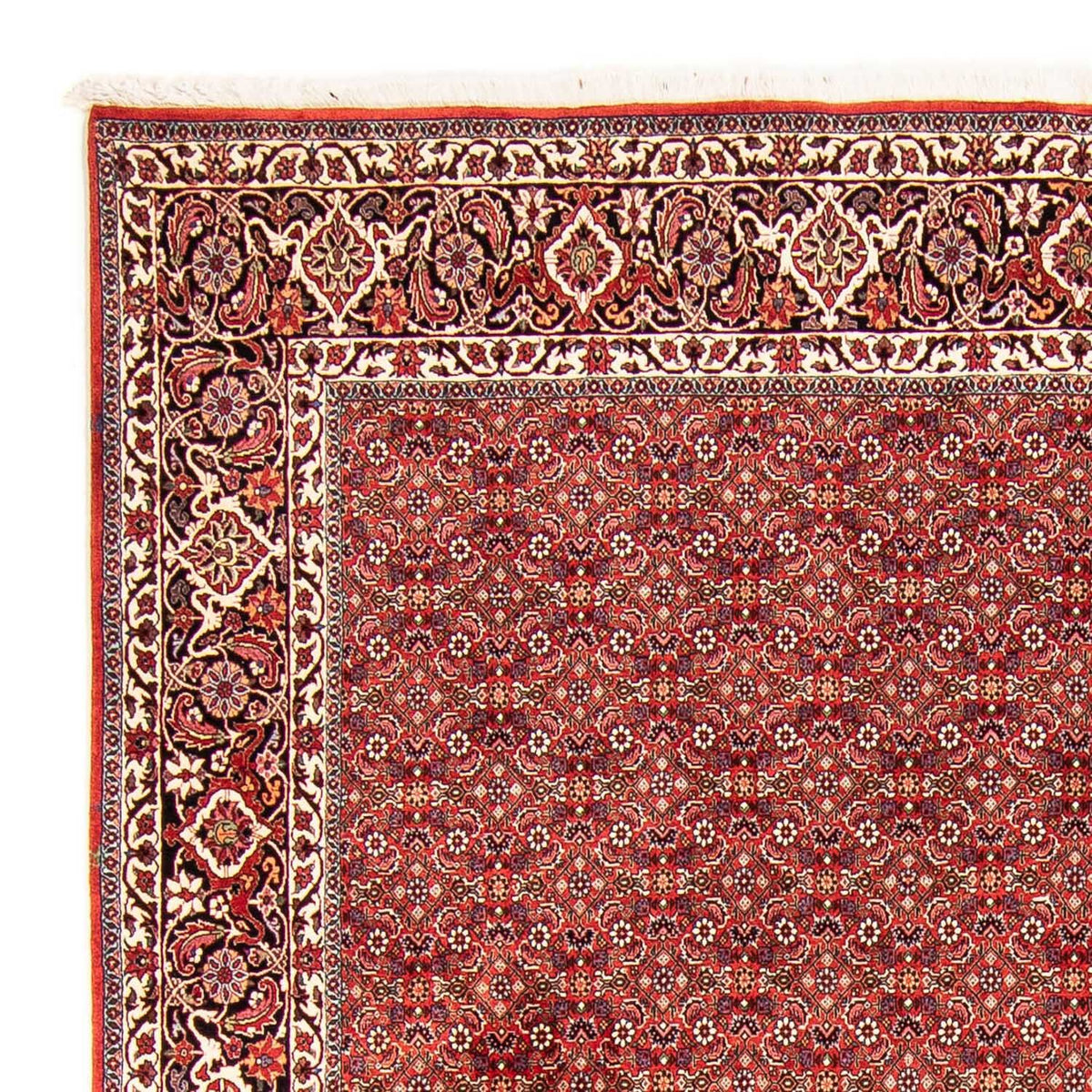 Perser Rug - Bidjar - 290 x 250 cm - red
