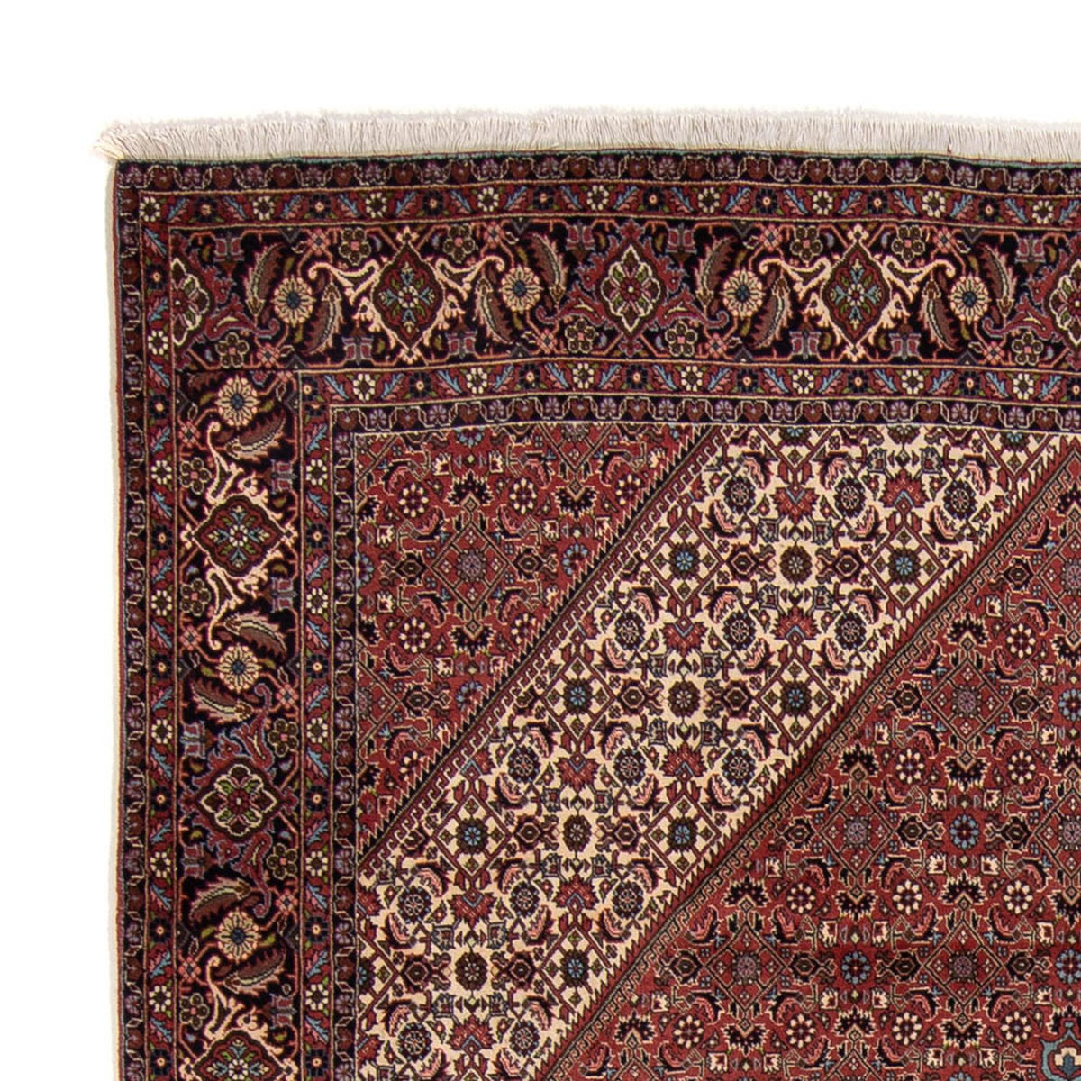 Bidjar Rug 248x350cm - Persian Rugs