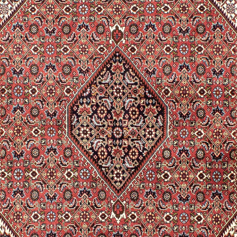 Bidjar Rug 250x173cm - Persian Rugs