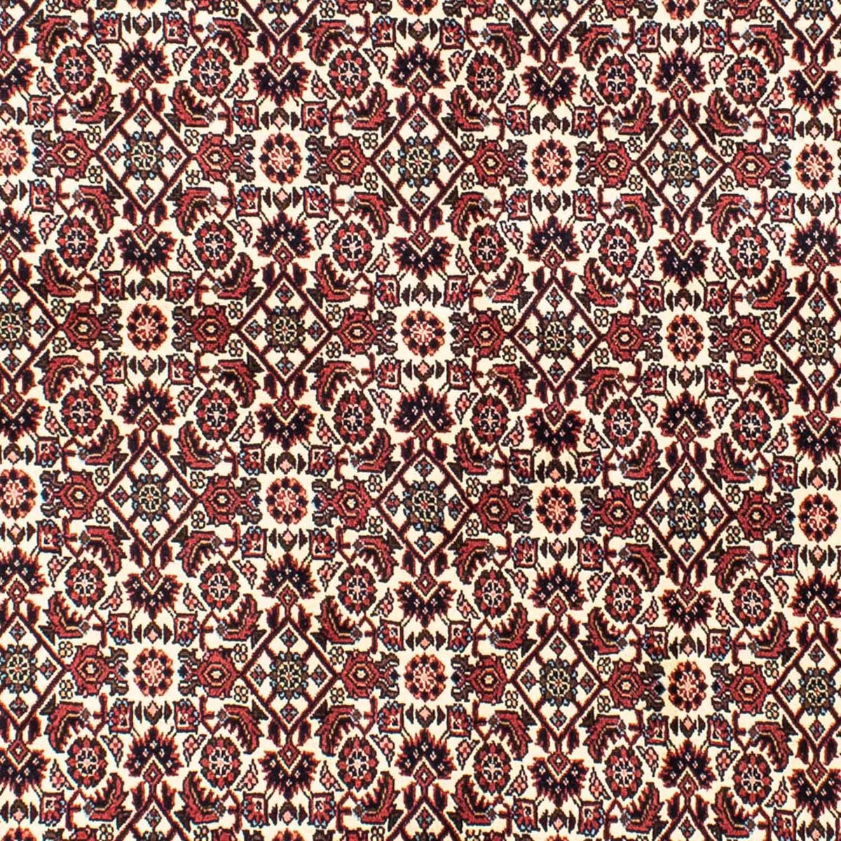 Perser Rug - Bidjar - 202 x 145 cm - beige