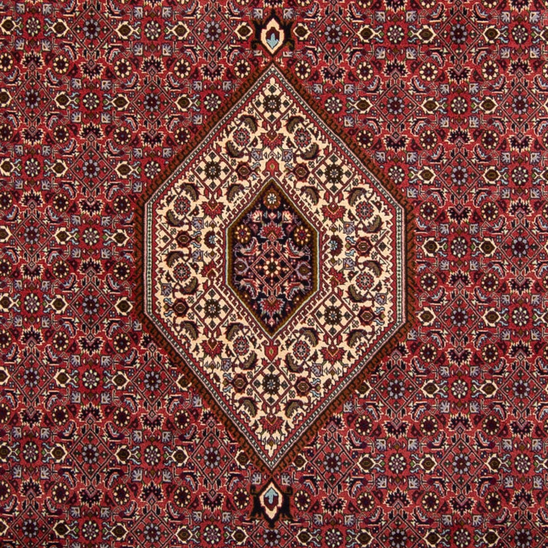 Perser Rug - Bidjar - 338 x 250 cm - brown