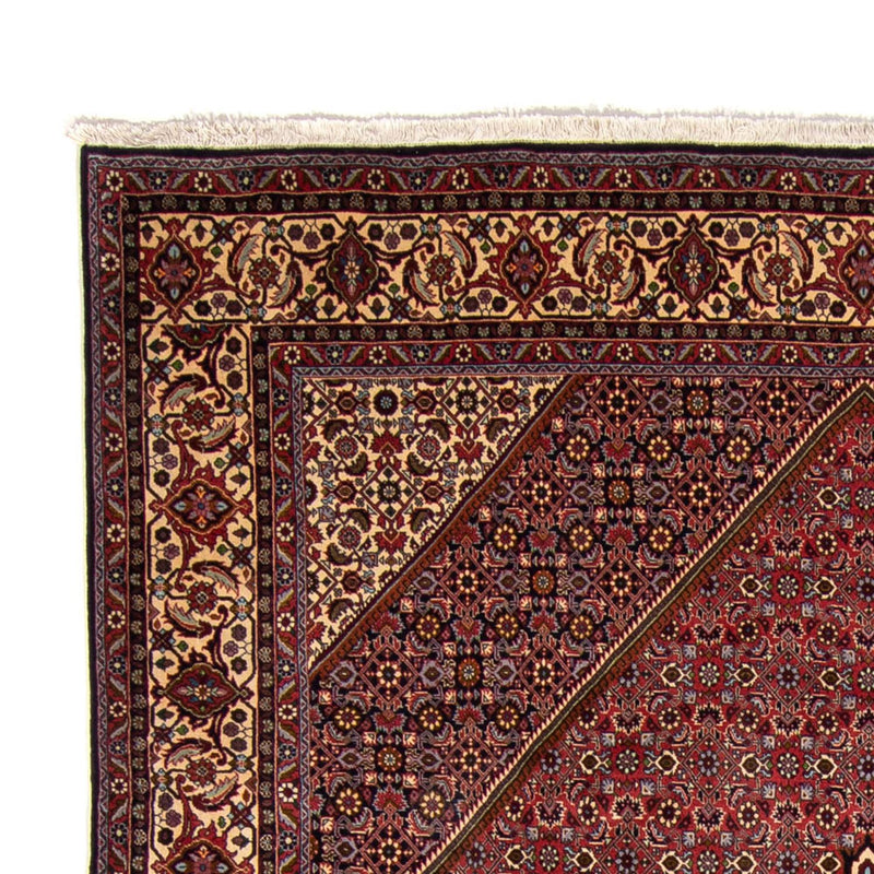 Perser Rug - Bidjar - 338 x 250 cm - brown