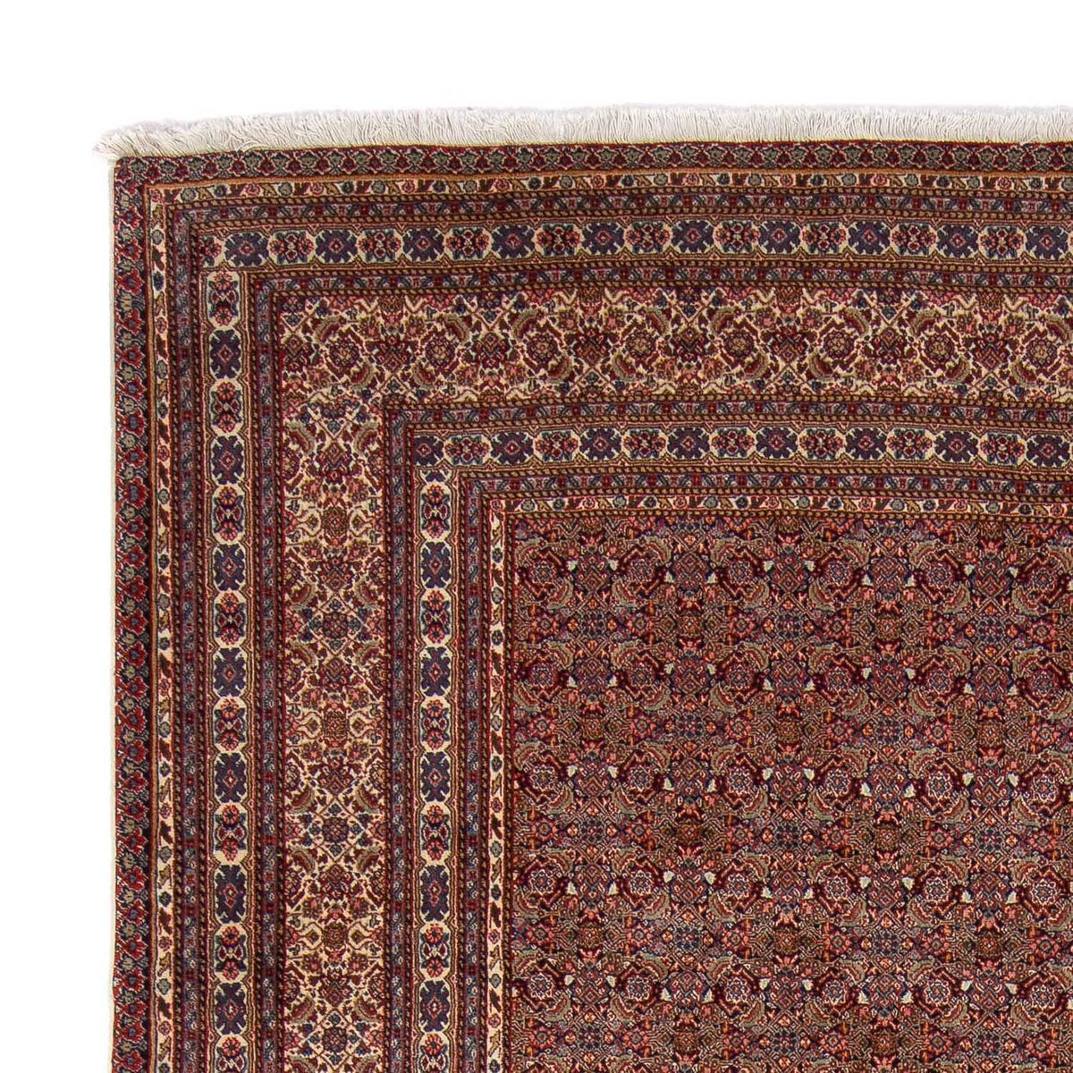 Perser Rug - Nomadic - 348 x 253 cm - brown