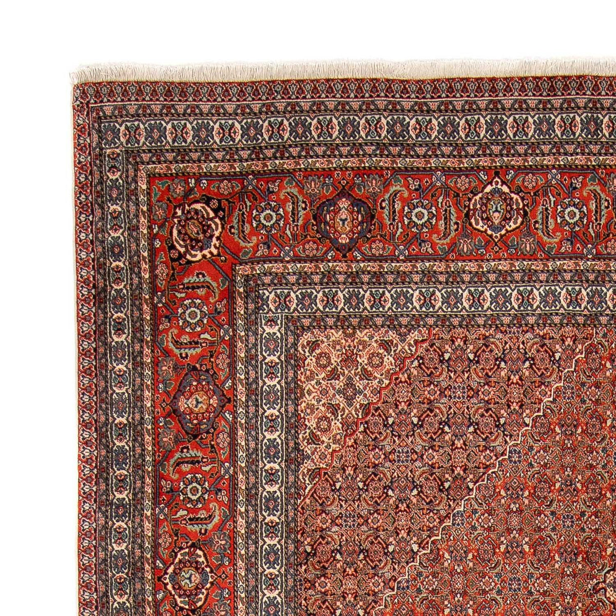 Perser Rug - Nomadic - 350 x 248 cm - light red