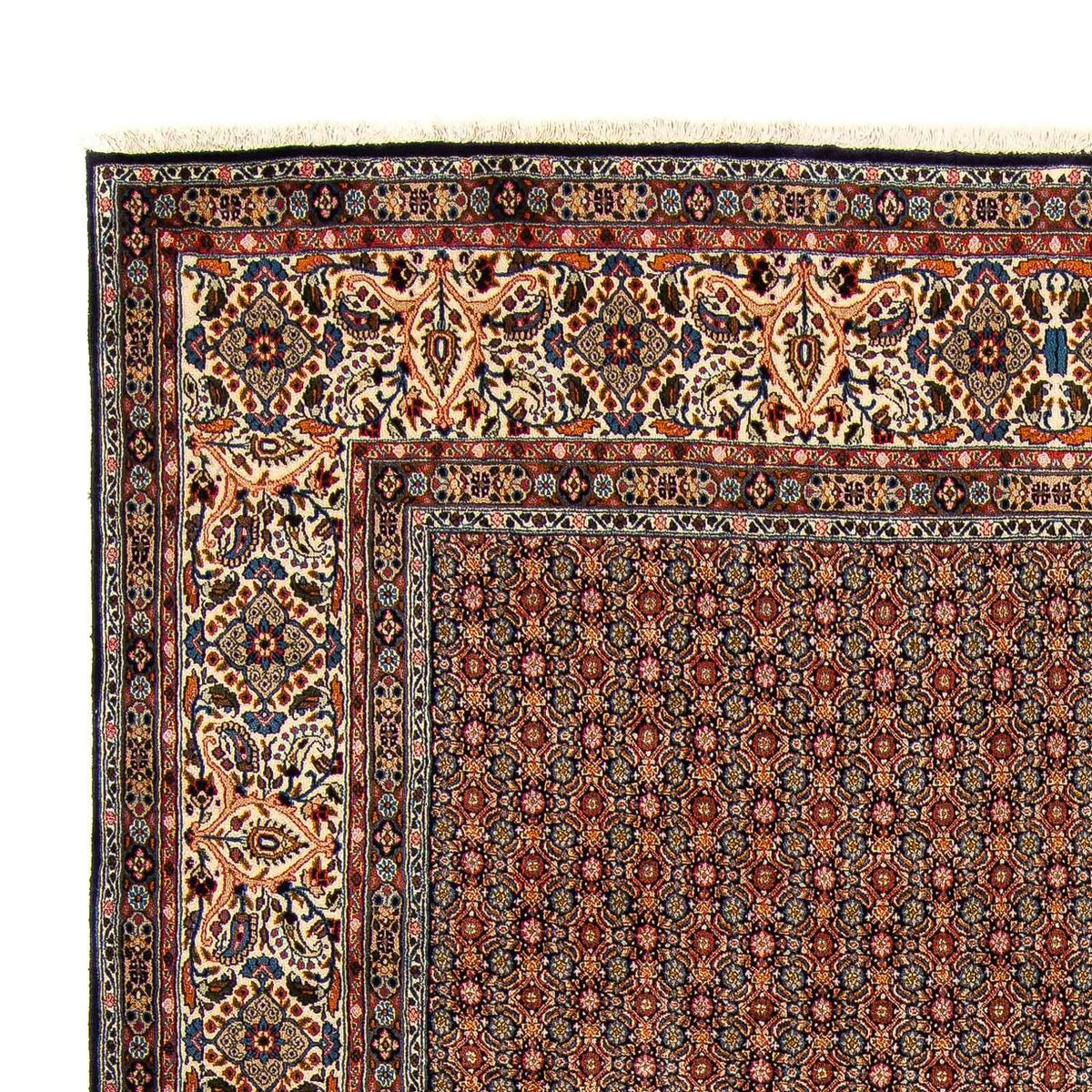 Moud Rug 241x345cm - Persian Rugs