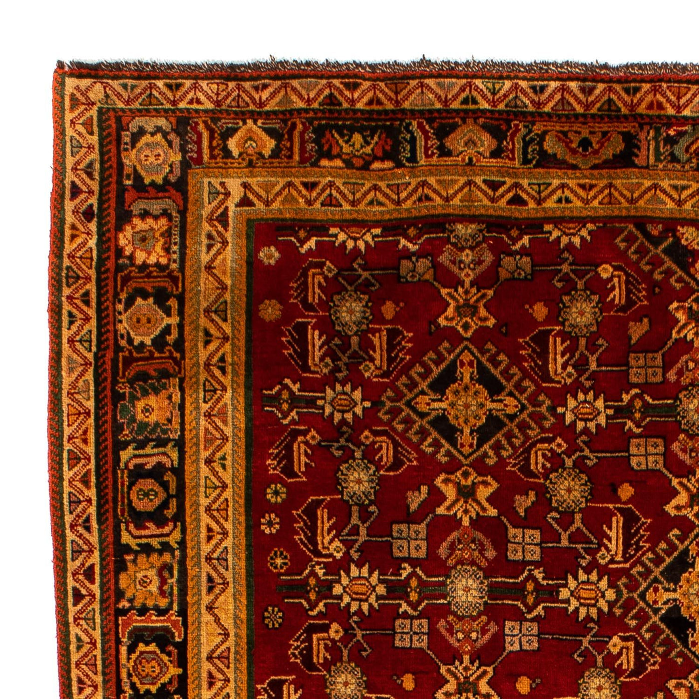 Shiraz Rug 296x190cm - Persian Rugs