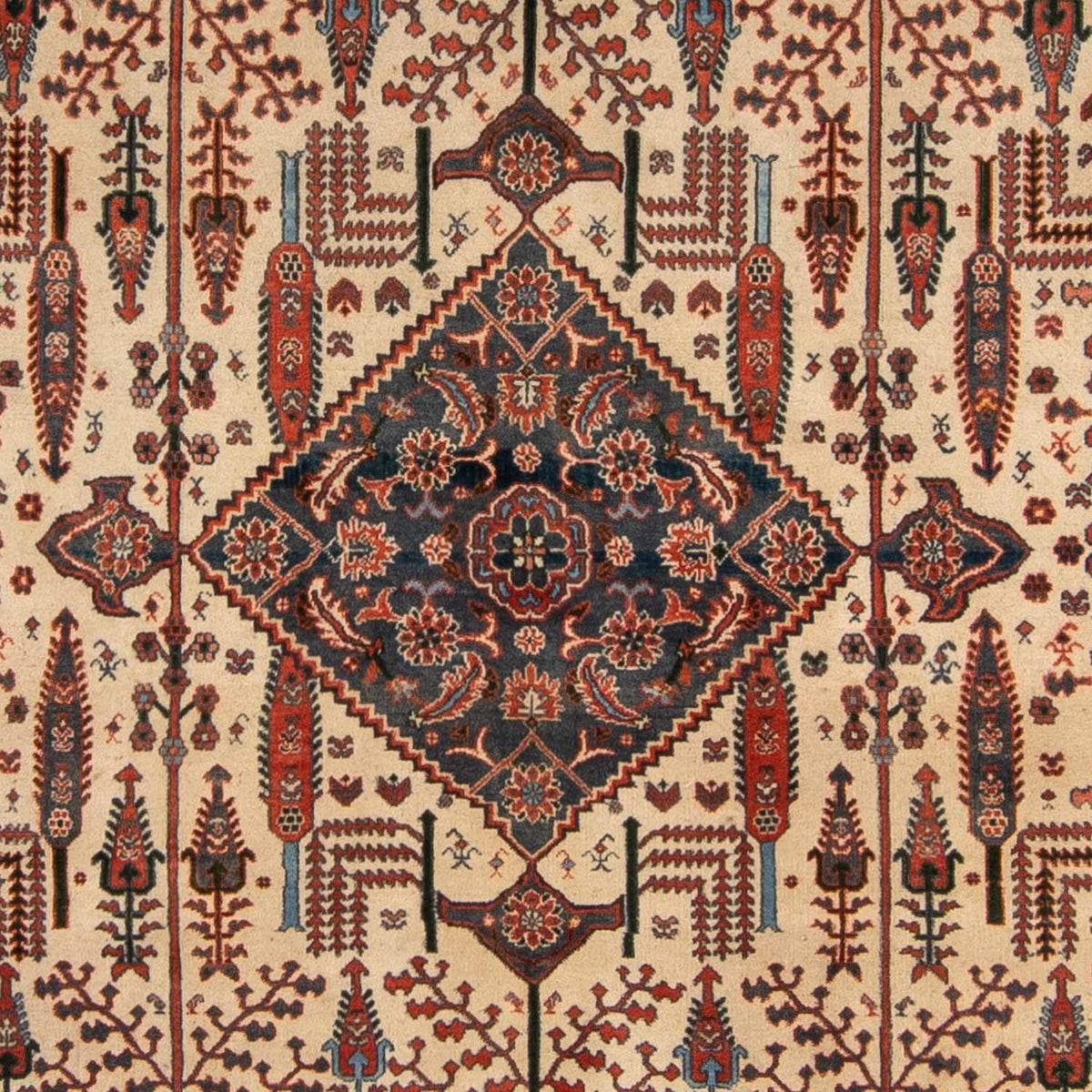 Gabbeh Rug - Kashkuli Perser - 258 x 230 cm - rust
