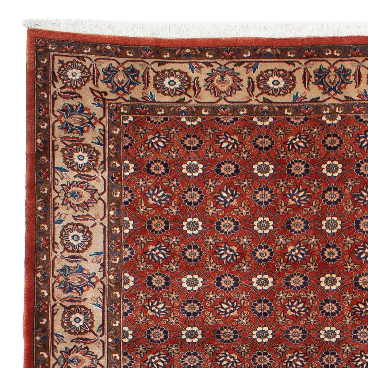 Perser Rug - Nomadic - 301 x 223 cm - red