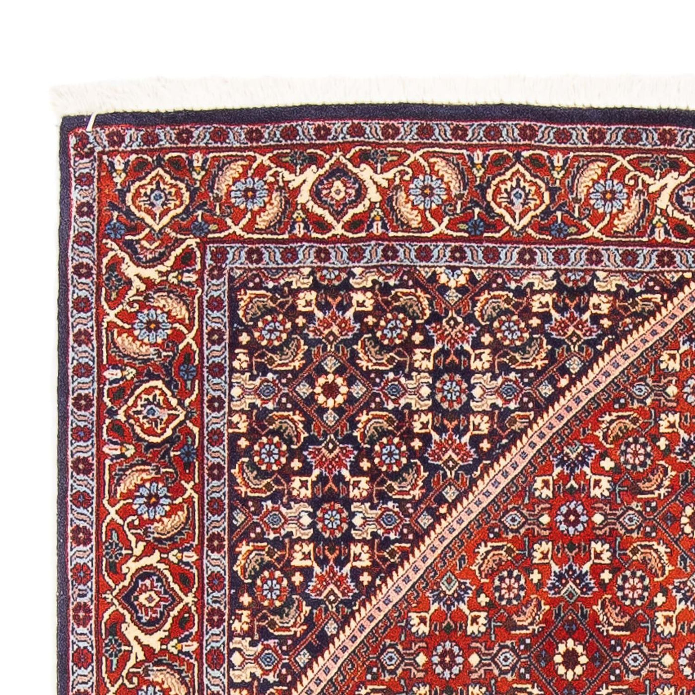 Bidjar Rug 168x110cm - Persian Rugs