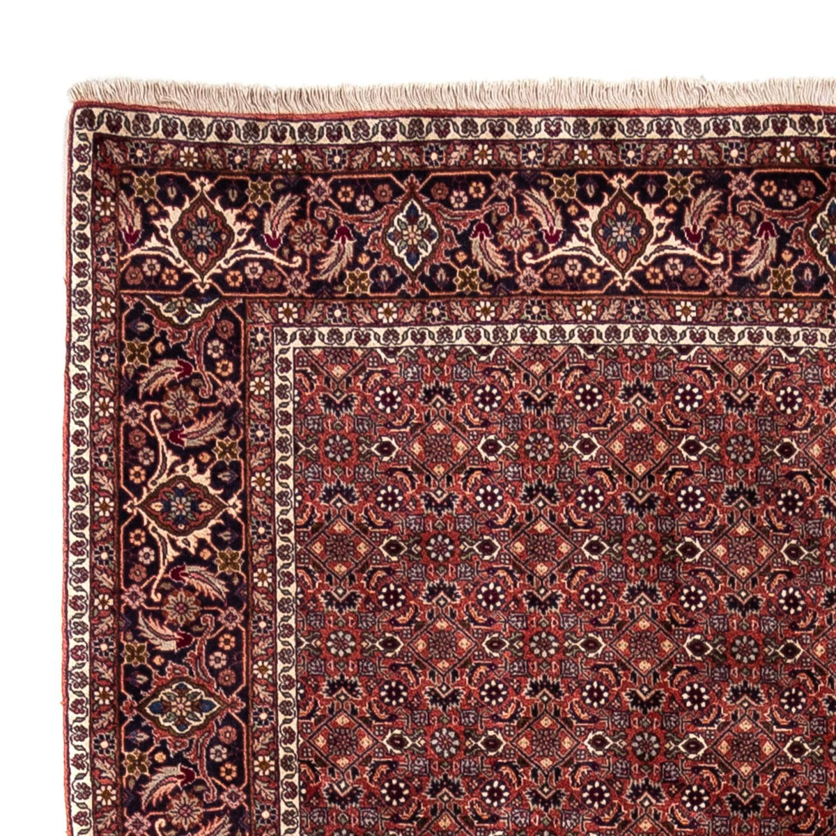 Perser Rug - Bidjar - 293 x 200 cm - red