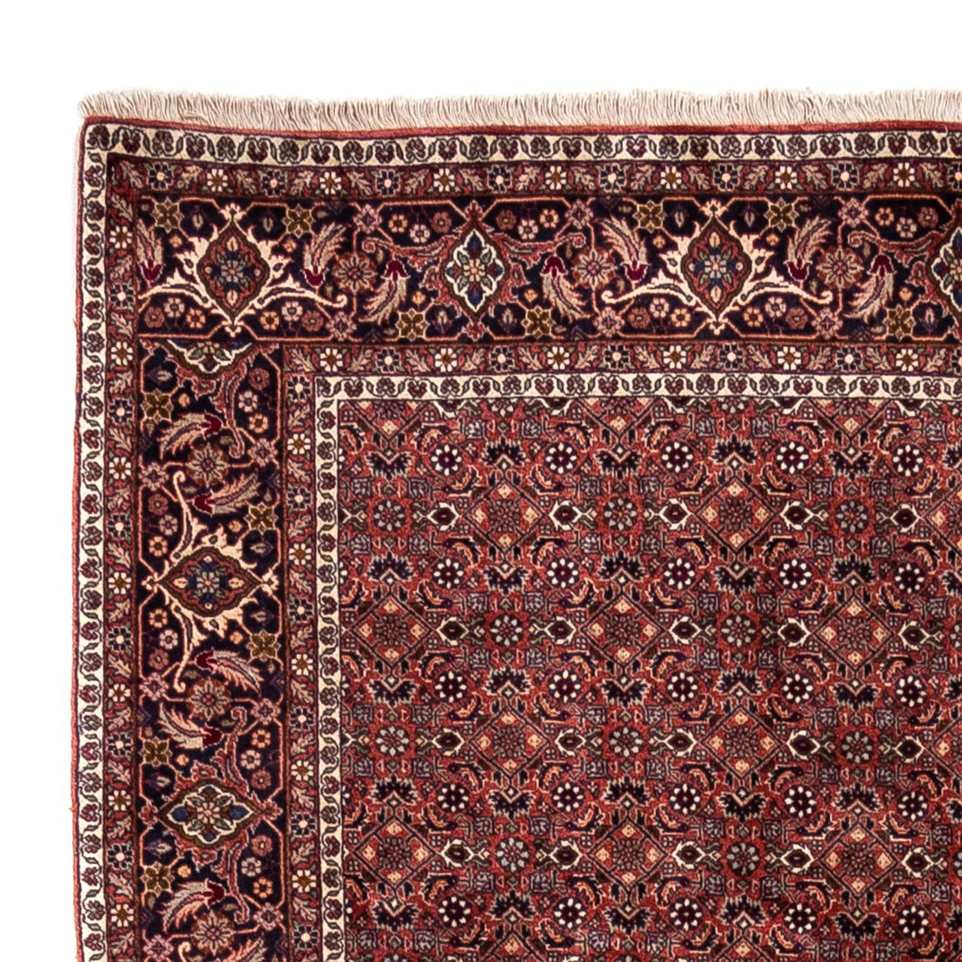 Bidjar - Takab Rug 293x200cm - Persian Rugs