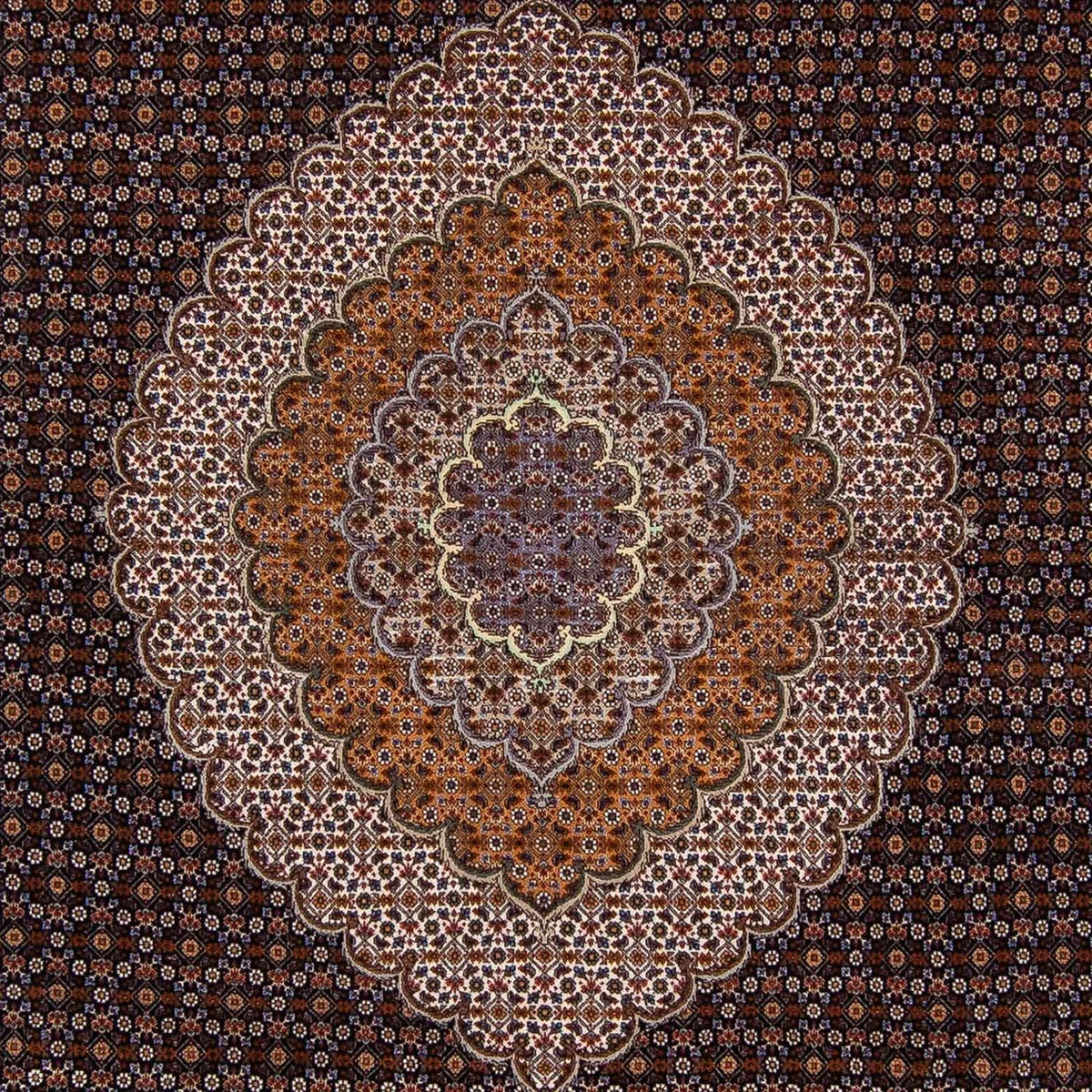 Perser Rug - Tabriz - 340 x 255 cm - dark brown