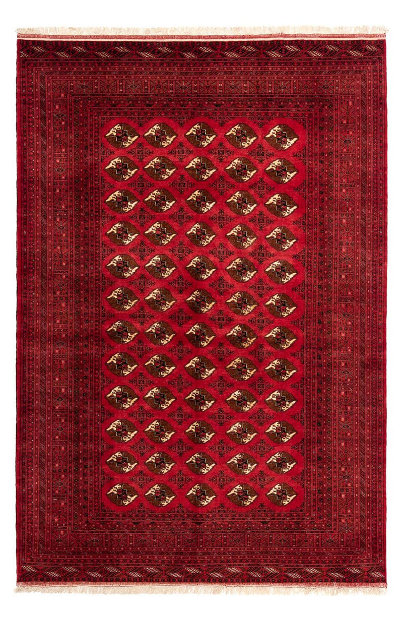Shiraz Rug 290x203cm - Persian Rugs