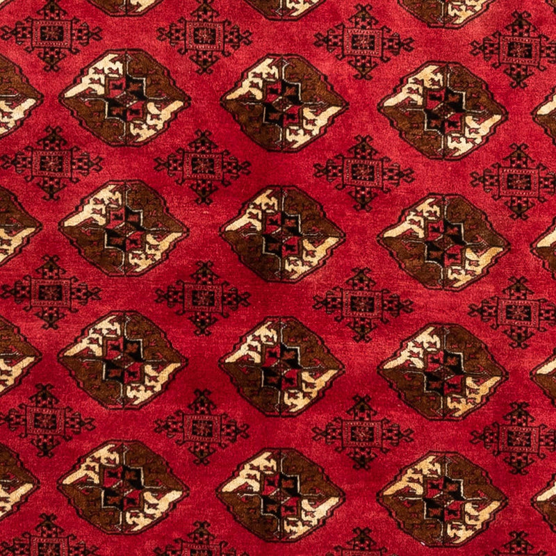 Shiraz Rug 290x203cm - Persian Rugs