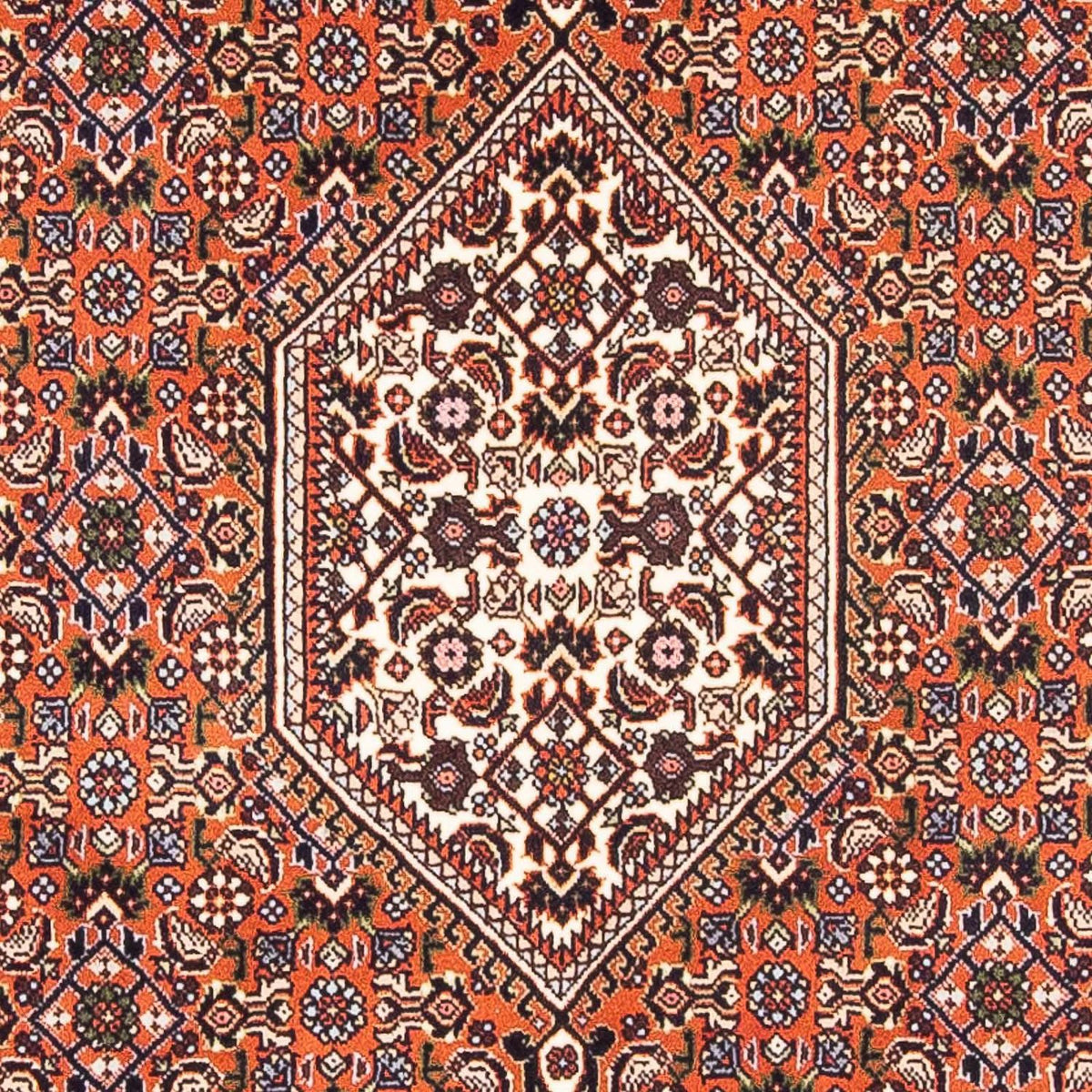 Perser Rug - Bidjar - 169 x 105 cm - salmon