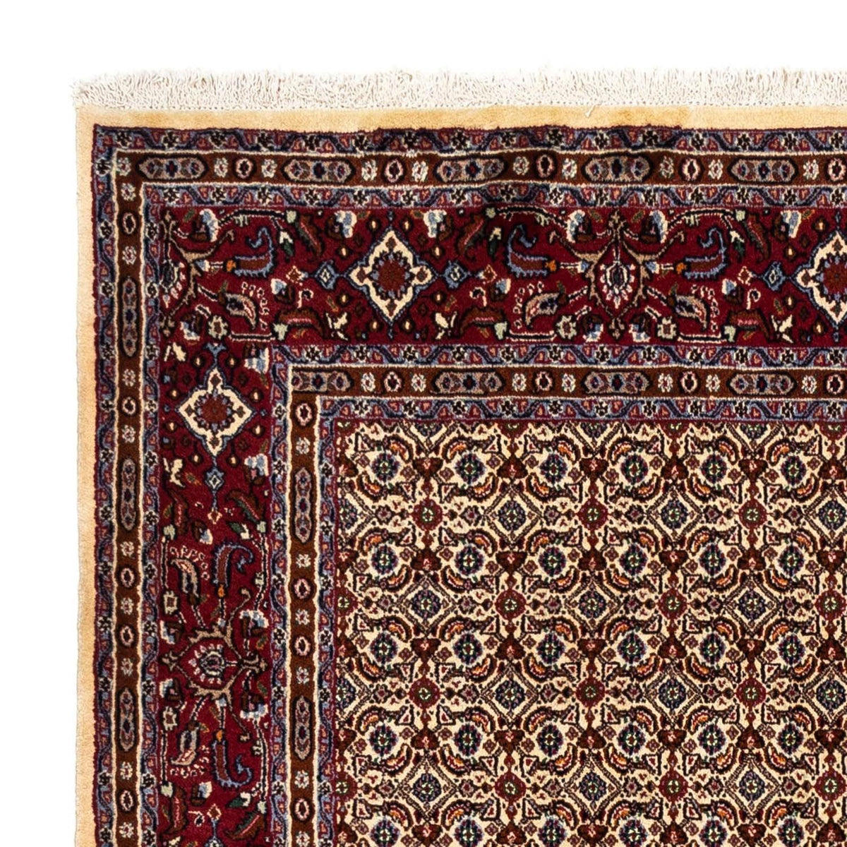 Moud Rug 169x238cm - Persian Rugs