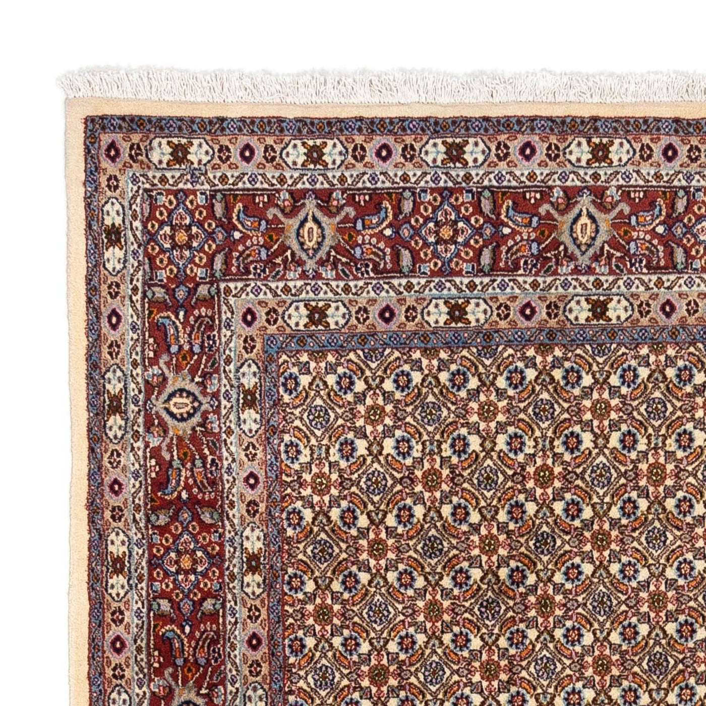 Moud Rug 238x167cm - Persian Rugs