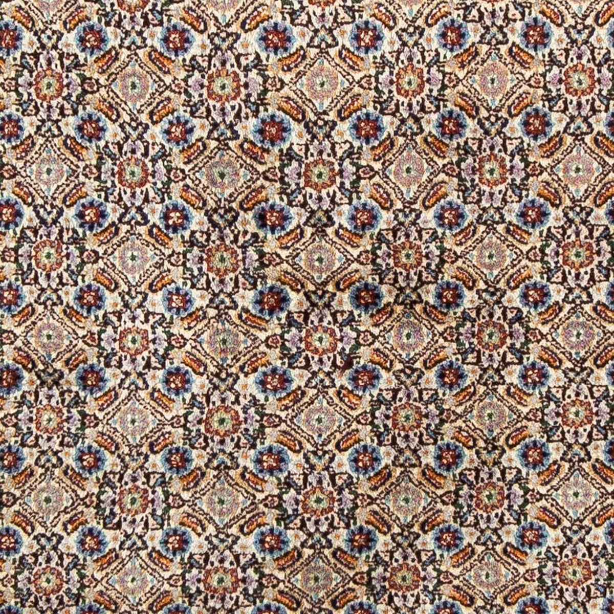 Perser Rug - Classic - 246 x 168 cm - beige