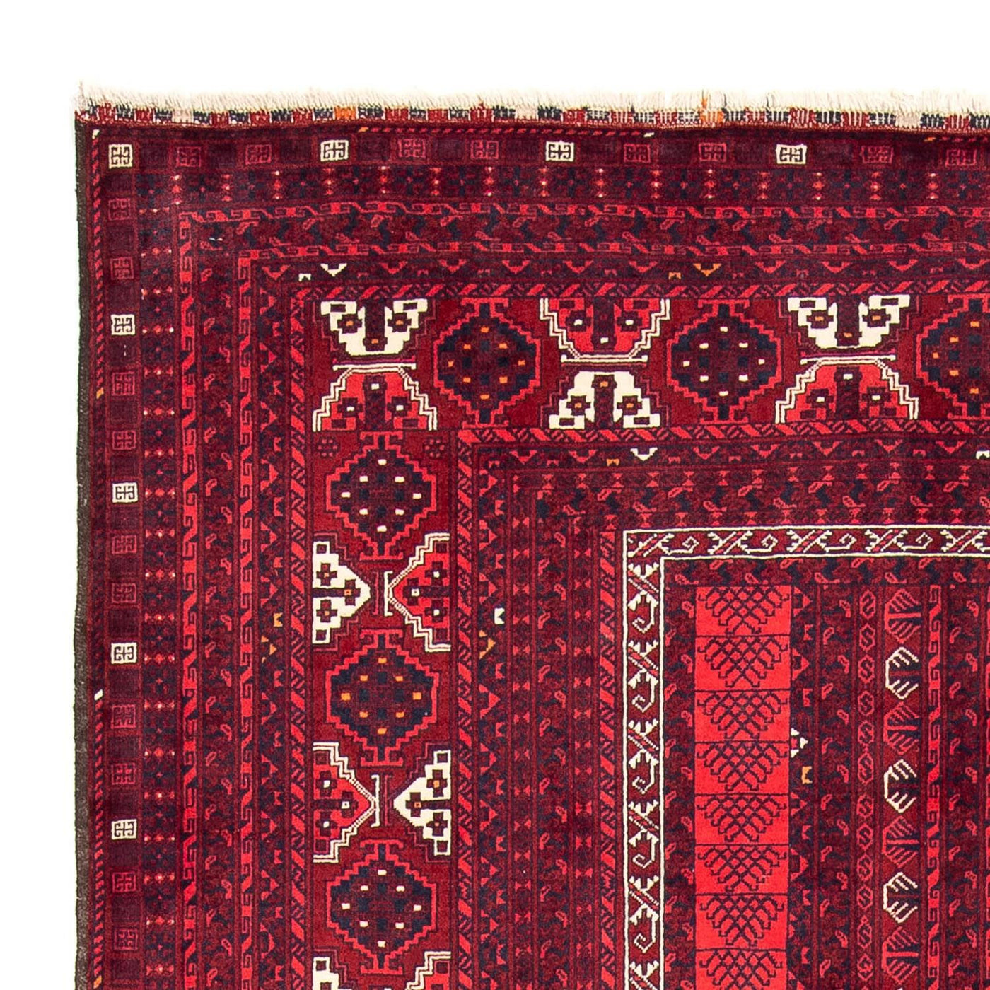 Turkaman Rug 246x160cm - Persian Rugs
