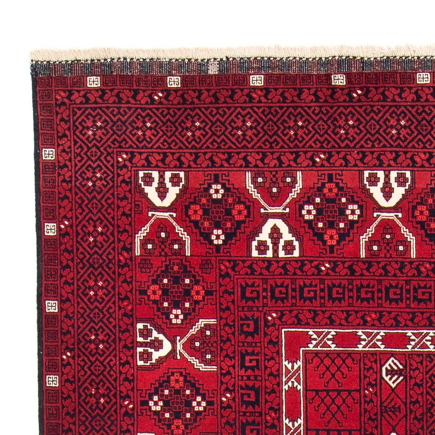 Turkaman Rug 255x151cm - Persian Rugs